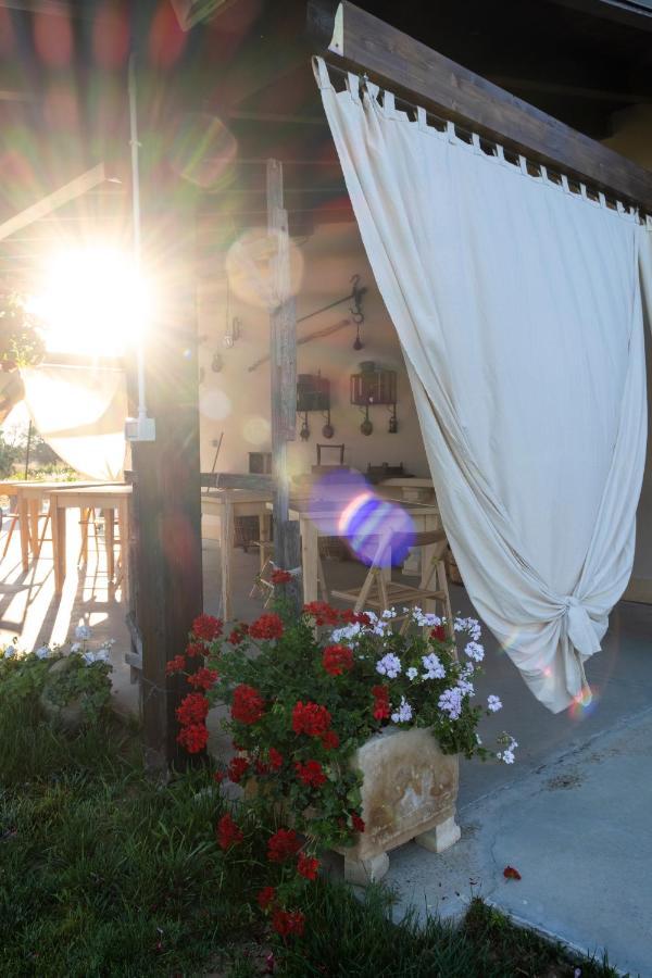 A Lu Fanizza Bed & Breakfast Cutrofiano Luaran gambar
