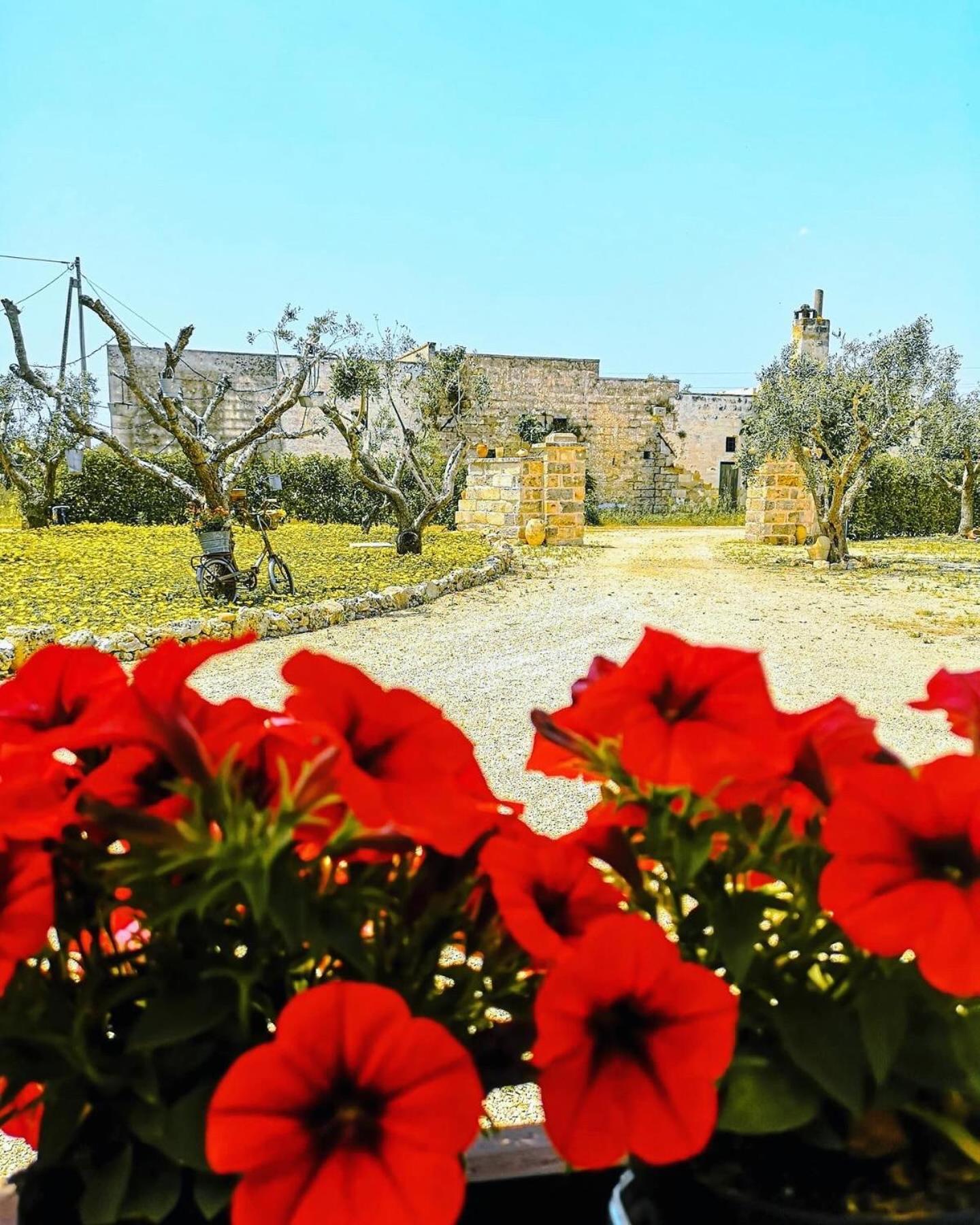 A Lu Fanizza Bed & Breakfast Cutrofiano Luaran gambar